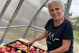 Photo of the author with two trays of freshly dug red and gold potatoes.