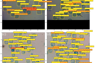 Why Veterinary Medicine Desperately Needs Deep Learning