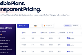 Cloudways vs WPX Hosting — Which Is Better?