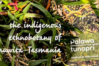 Old knowledge made new again: Tasmania’s pre-European heritage