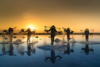 A group of people working in fields