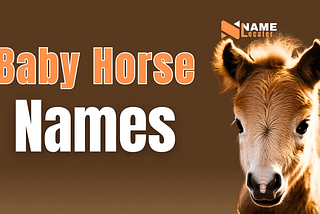 Baby Horse Name Ideas