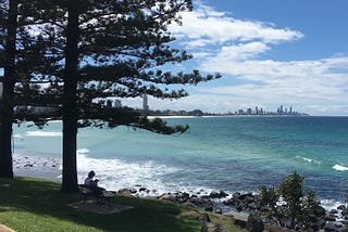 The Ocean, The Tree and Me