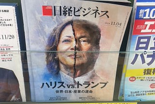 Some Mediations on Grief after the 2024 Election