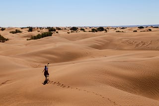 توثيق قضايا التغير المناخي بتقنية الواقع الافتراضي