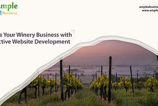 Engage Your Winery Business with Productive Website Development