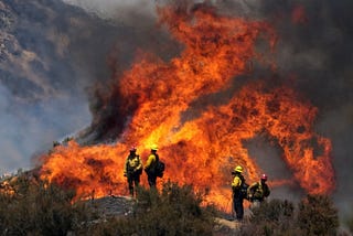 Our Bonny Doon Evac