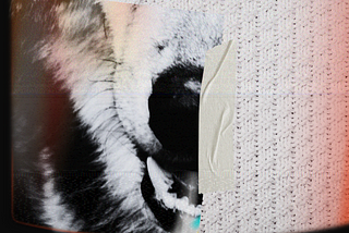 Beware of the Wolves in Merino