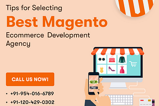 Insider Tips for Selecting the Best Magento eCommerce Development Agency