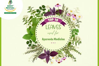 Top 10 Leaves Name List Used As Medicine Leaves In Ayurveda