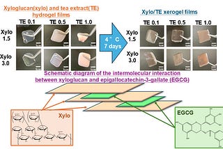 Green Tea-Based Adhesive Films Show Promise as a Novel Treatment for Oral Mucositis