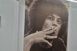 Notes on “Black Panthers & Revolution: The Art of Stephen James
