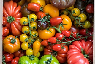 English Tomatoes, which you don’t have to wait until August for.