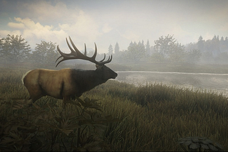 WHY SOLAR PANELS MATTER FOR HUNTING CAMERAS
