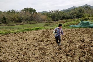 Permaculture Projects in Hong Kong — PermAmigo