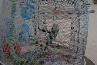 Bird Cage Out of a Fan