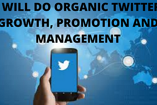 Twitter promotion and Management