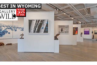 Best Gallery In Wyoming: Gallery Wild / 2025 AMERICAN ART AWARDS