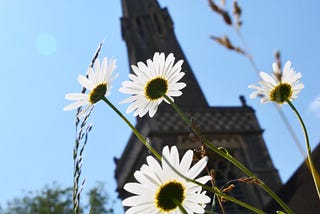 My Town: View From Below