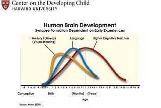 Montessori, STEM, and Brain Training: Do They Really Benefit Child Cognition?