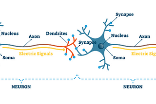Brain vs AI: Neuroscience, Math & Philosophy