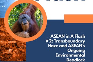 ASEAN in A Flash #2: Transboundary Haze and ASEAN’s Ongoing Environmental Deadlock