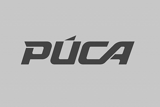 PUCA Logo with the pattern