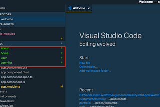 Angular Routing