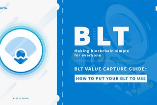 BLT value capture guide: how to put your BLT to use