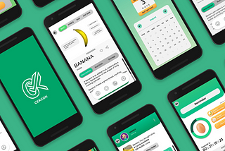 Educate and Help Users in Choosing Best Groceries with CekCok — An UI / UX Case Study