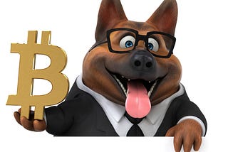 From Under Dog to Top Dog: What People Failed to Understand About Bitcoin