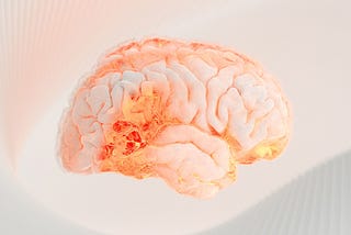 Figure 1: 3D render of a human brain (Kommers, 2023).