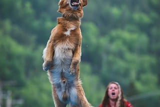 Fake It Till You Make It Works