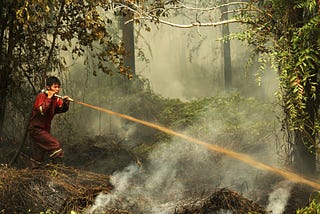 boy spraying water on wildfire