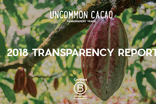 The 2018 Transparency Report