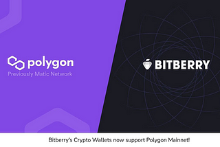 [2021. 05. 05] Bitberry X Polygon Announces Strategic Partnership