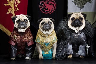 65% of Pets Named After Game of Thrones Characters, or At Least, That’s What I’d Think