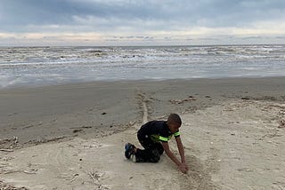 A Beach for Thomas
