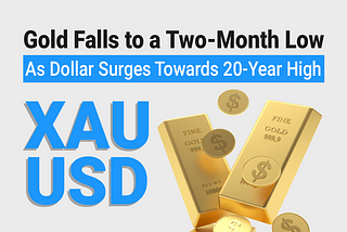 Gold Falls to a Two-Month Low as Dollar Surges Towards 20-Year High