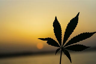 Medical Marijuana Kicked My Chronic Illness’ Butt — Learn How this Inflammation Killer Works