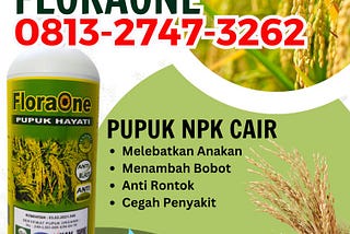 ALAMI CALL 0813–2747–3262, PUSAT Pupuk Padi Cakrabuana Baa, Pupuk Padi Pajajaran Manggarai Barat…