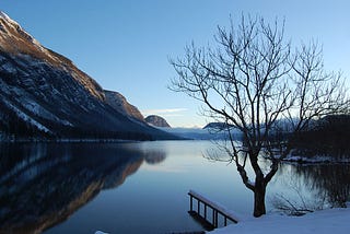 Book review — Tadej Golob: Jezero (The Lake)