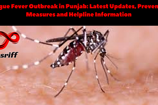Dengue Fever Outbreak in Punjab: Latest Updates, Prevention Measures, and Helpline Information