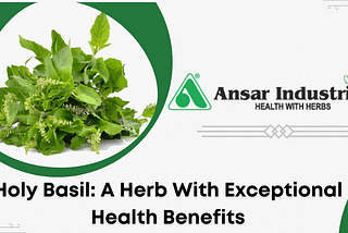 HOLY BASIL: A HERB WITH EXCEPTIONAL HEALTH BENEFITS