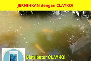 Tlp/WA : 0822–3127–4749 (Tsel), Agen Penjernih Air Kolam Ikan Keruh Terbaik CLAY KOI di Kota…