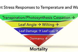 How well can we detect plant water stress from space?