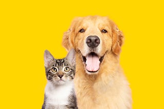 Pawsitive Potential: Seizing Opportunities in the Booming Pet Industry
