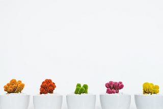 5 cactos coloridos um ao lado do outro (laranja, vermelho, verde, rosa e amarelo).