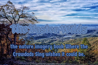 The Vaster Wilds Review