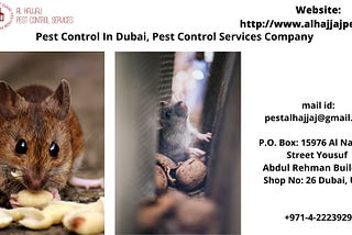 If you’re looking for a pest control company in Dubai that can cater to your specific needs.